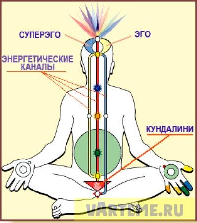 Основные энергетические. Энергетические каналы человека. Энергитические Канлы человеека. Биоэнергетика человека ,энергетические каналы. Прочистки энергетических каналов.
