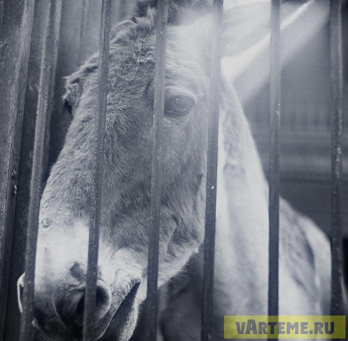 каждый рядовой гражданин почувствовал себя уязвленным этим нарушением Констит